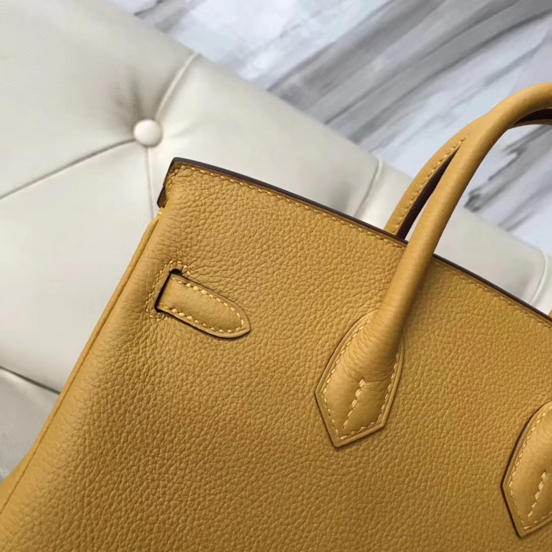 Fashion Hermes 9D Amber Yellow Togo Calf Leather Birkin25CM Bag Silver Hardware