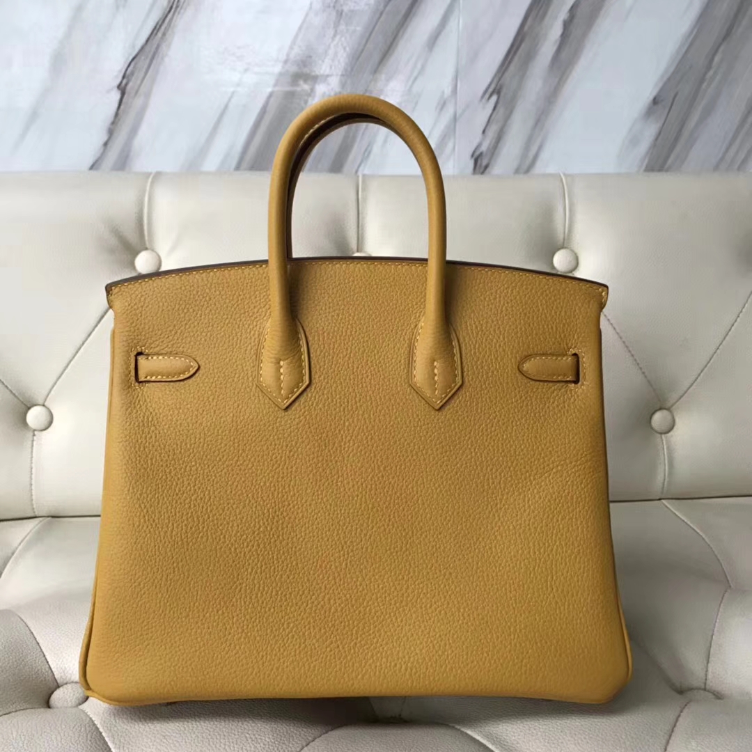 Fashion Hermes 9D Amber Yellow Togo Calf Leather Birkin25CM Bag Silver Hardware