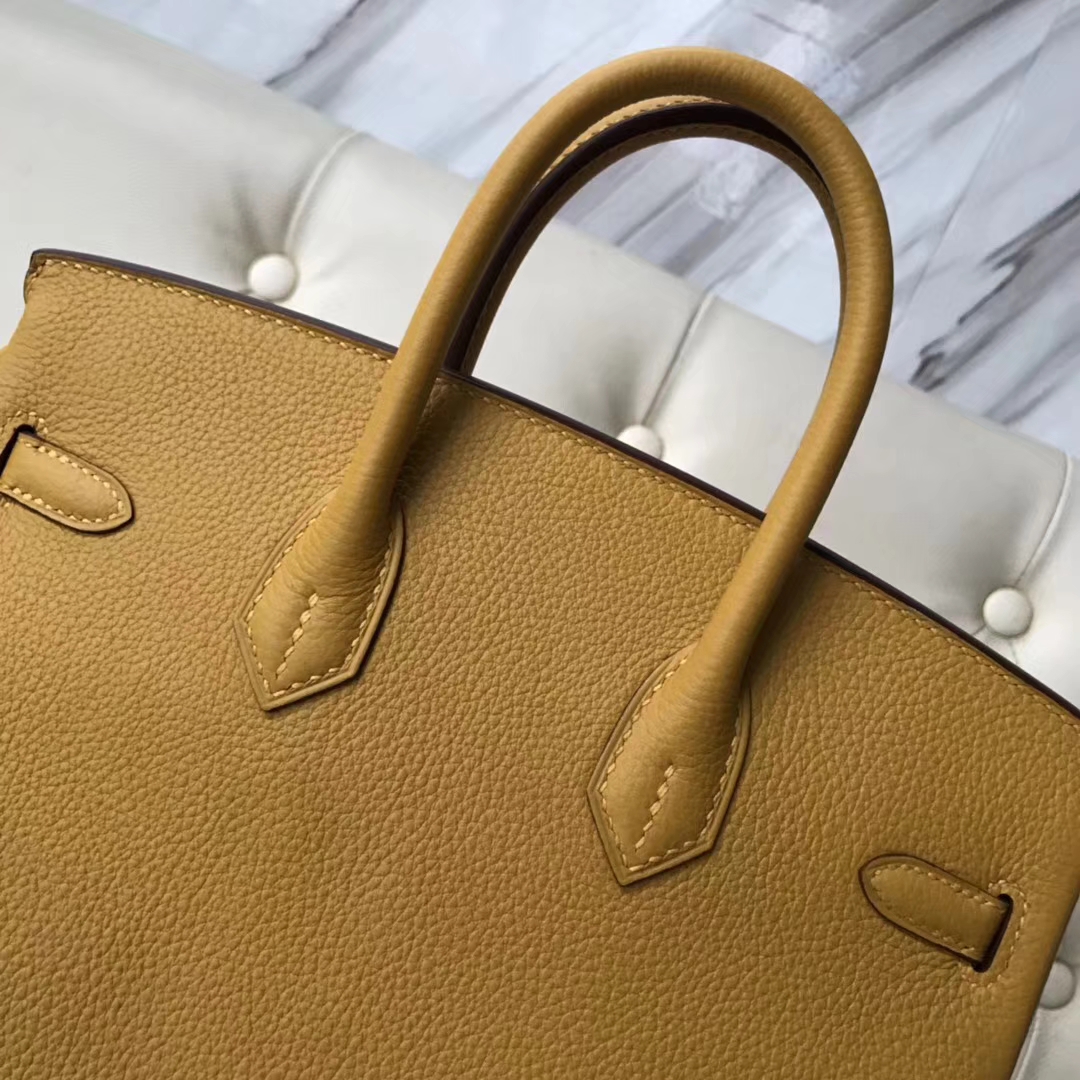 Fashion Hermes 9D Amber Yellow Togo Calf Leather Birkin25CM Bag Silver Hardware