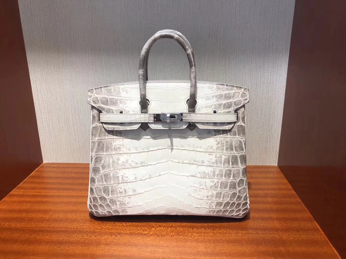Elegant Hermes Himalaya Crocodile Leather Birkin25CM Bag Silver Hardware