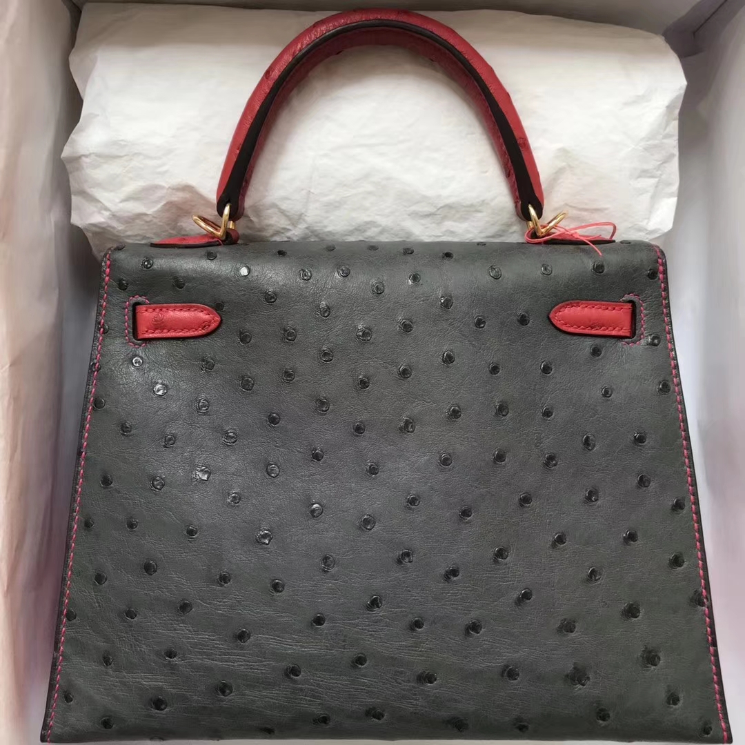 Wholesale Hermes 8F Etain Grey/Q5 Rouge Casaque Ostrich Leather Kelly25CM Bag