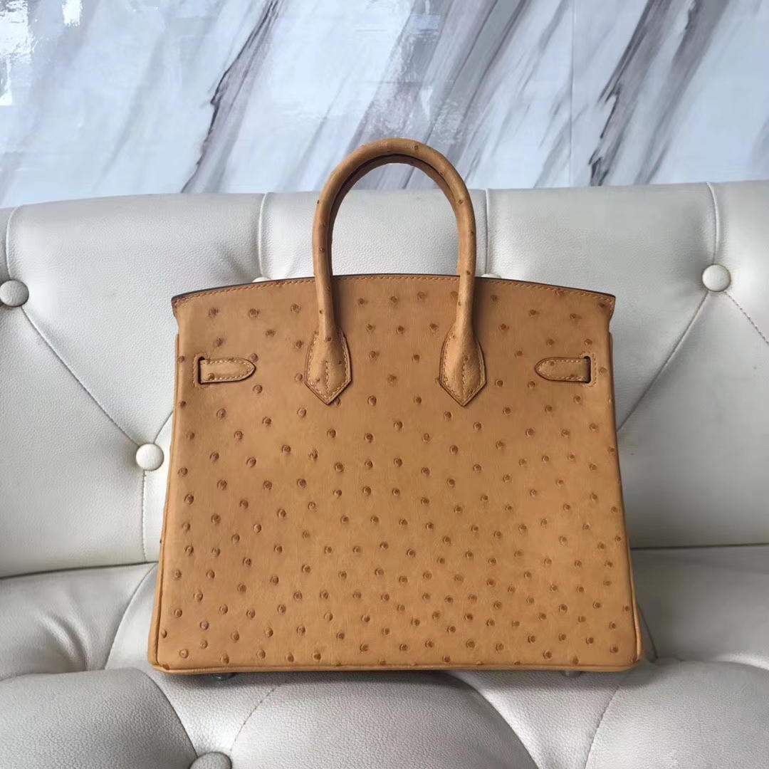 New Hermes Ostrich Leather Birkin25CM Tote Bag in Mustard Yellow Silver Hardware