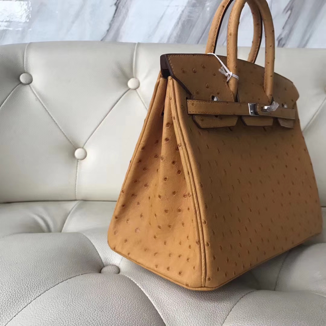 New Hermes Ostrich Leather Birkin25CM Tote Bag in Mustard Yellow Silver Hardware