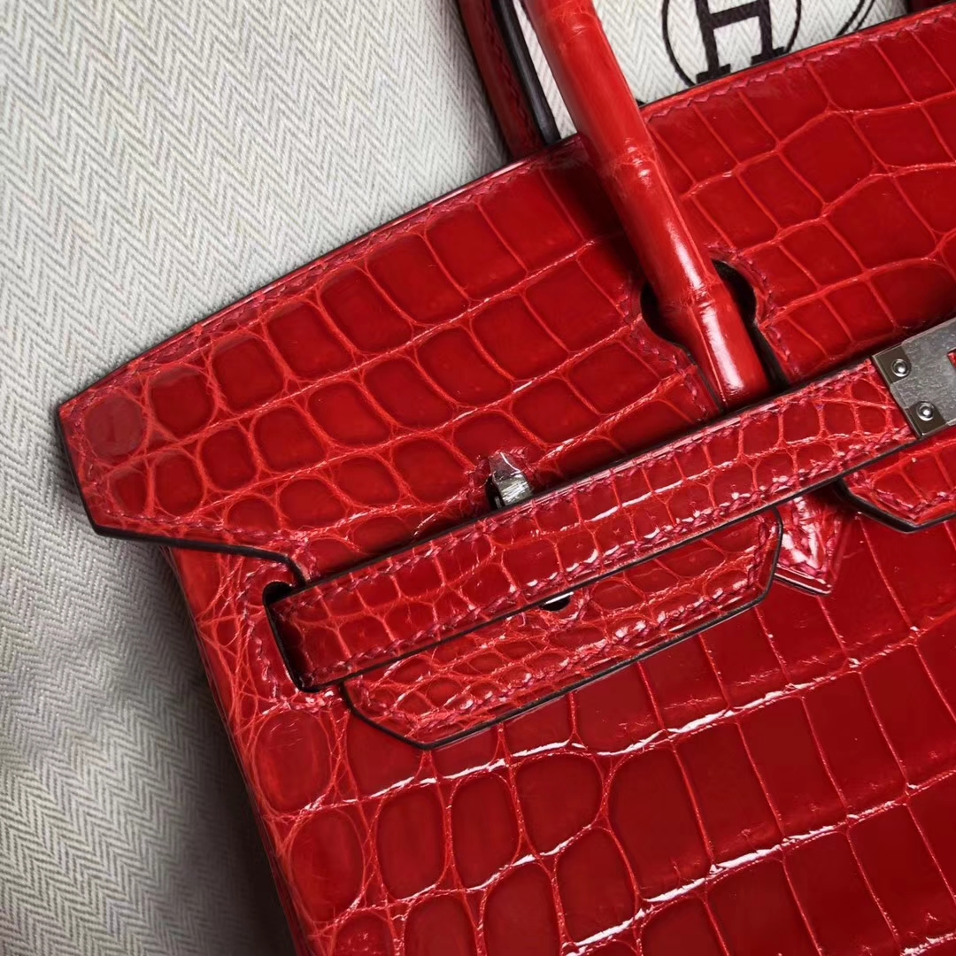 Pretty Hermes CK95 Braise Shiny Crocodile Leather Birkin25CM Bag Silver Hardware