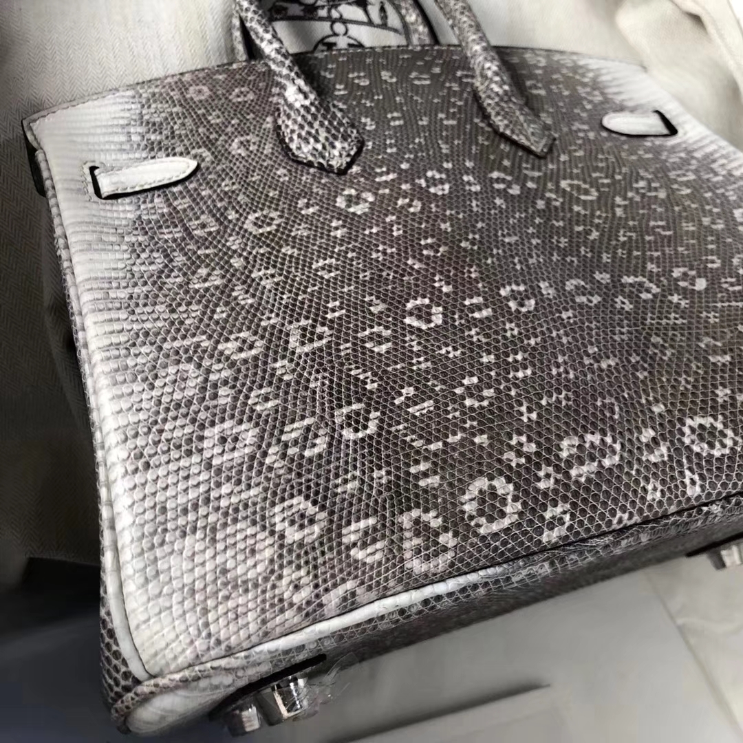 Fashion Hermes 01 Nature Color Lizard Leather Birkin Bag25CM Silver Hardware