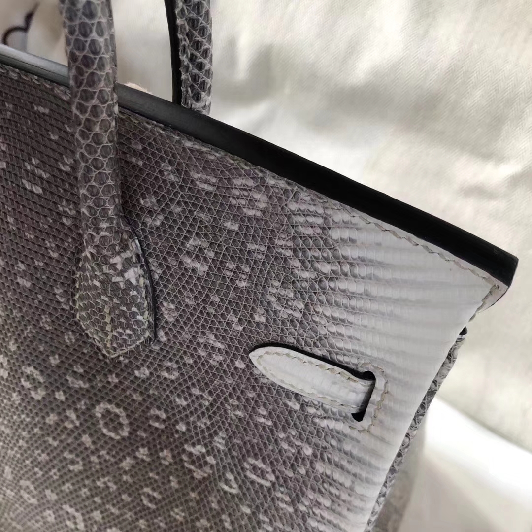 Fashion Hermes 01 Nature Color Lizard Leather Birkin Bag25CM Silver Hardware
