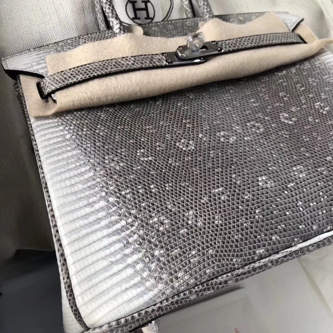 Fashion Hermes 01 Nature Color Lizard Leather Birkin Bag25CM Silver Hardware