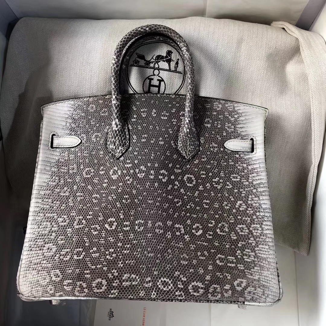 Fashion Hermes 01 Nature Color Lizard Leather Birkin Bag25CM Silver Hardware