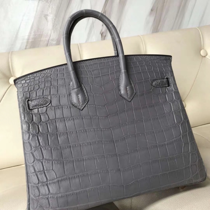 Elegant Hermes Mousse Grey Matt Crocodile Leather Birkin25CM Bag Gold Hardware
