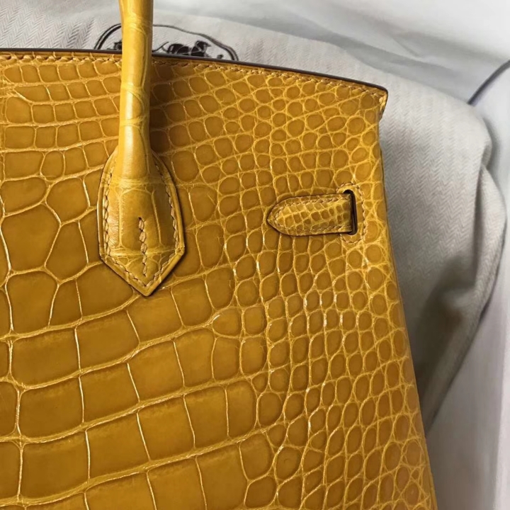 Luxury Hermes 9D Ambre Yellow Alligator Shiny Crocodile Birkin Bag25CM Gold Hardware
