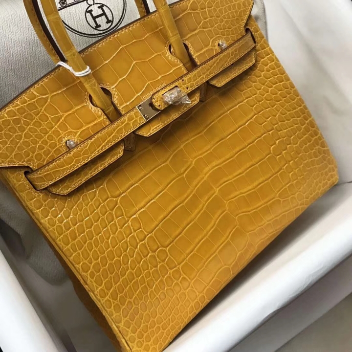 Luxury Hermes 9D Ambre Yellow Alligator Shiny Crocodile Birkin Bag25CM Gold Hardware