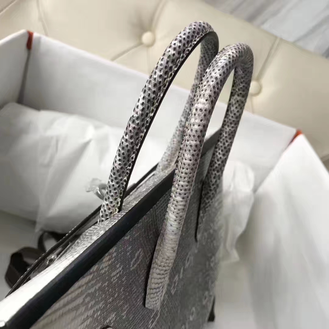 Elegant Hermes 01 Nature Color Lizard Leather Birkin Bag25CM Silver Hardware