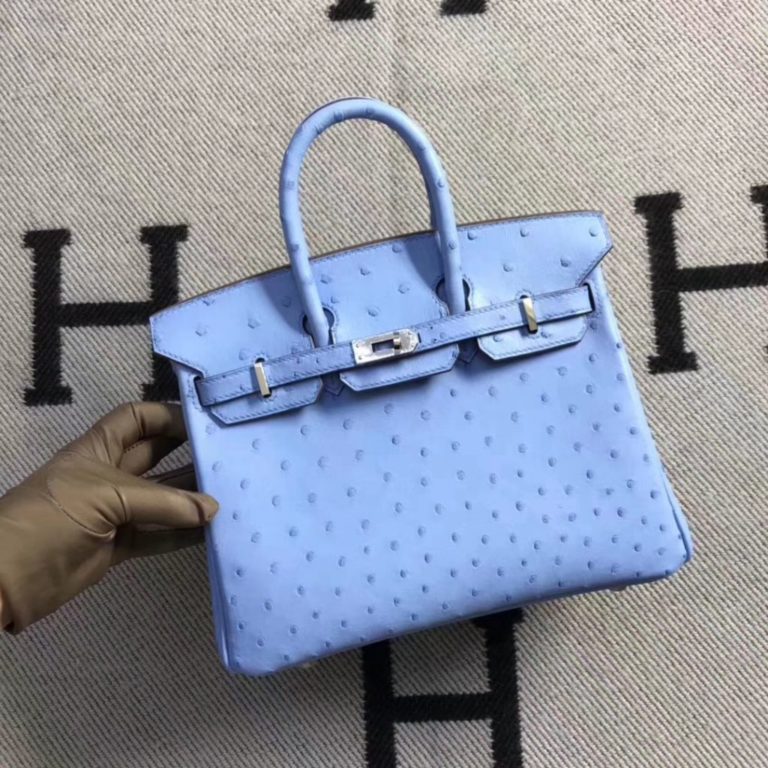 Hermes Pinkish Blue Ostrich Leather Birkin 25CM Tote Bag Silver Hardware