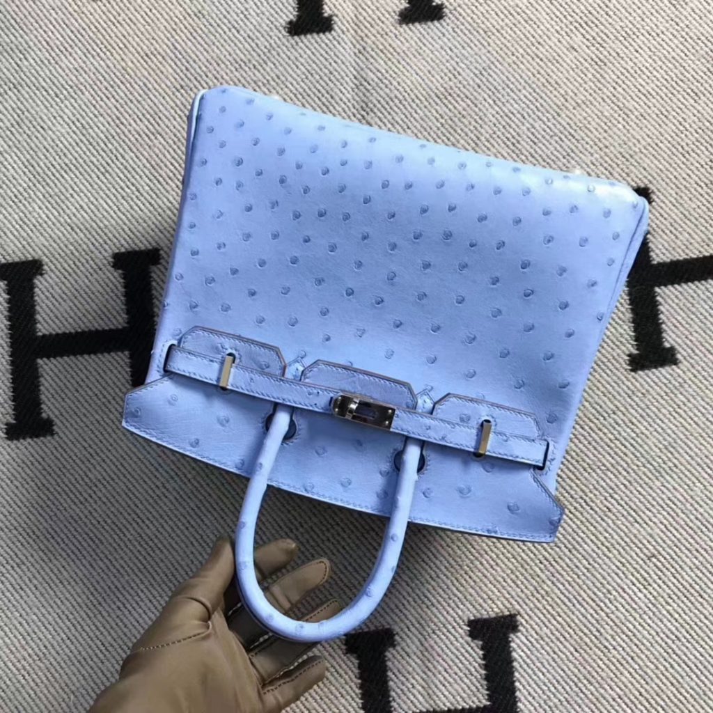 New Arrival Hermes Pinkish Blue Ostrich Leather Birkin25CM Tote Bag Silver Hardware