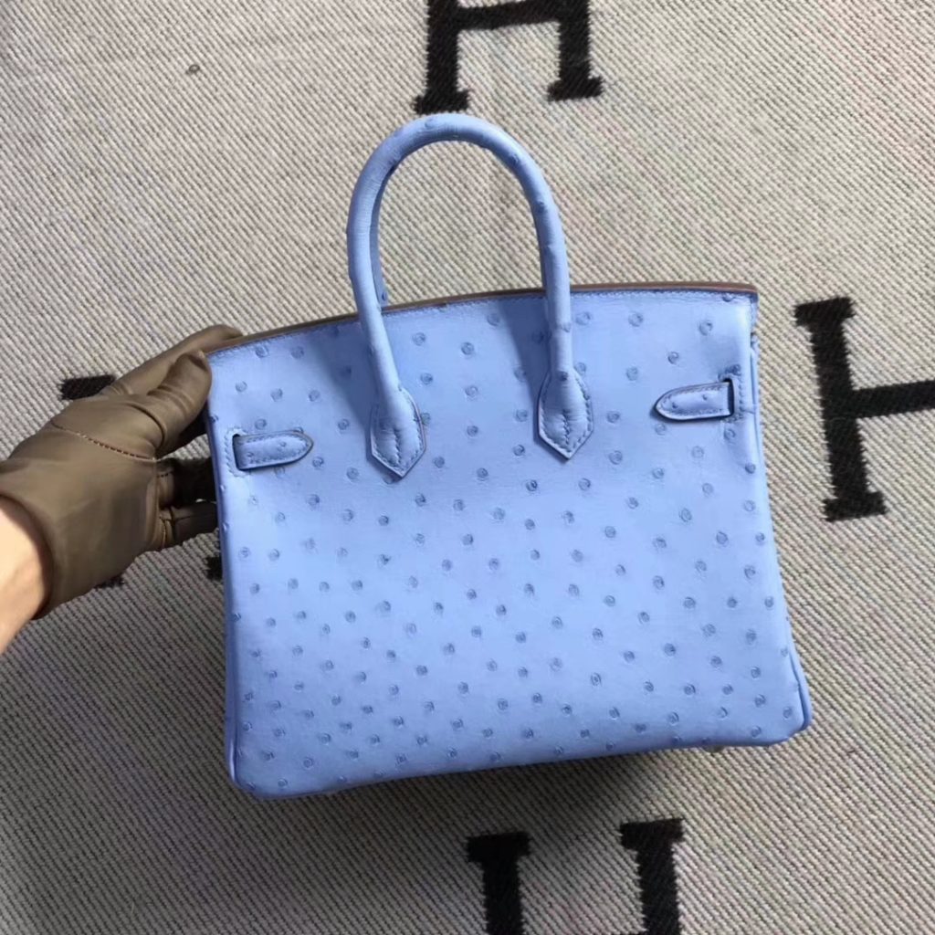 New Arrival Hermes Pinkish Blue Ostrich Leather Birkin25CM Tote Bag Silver Hardware