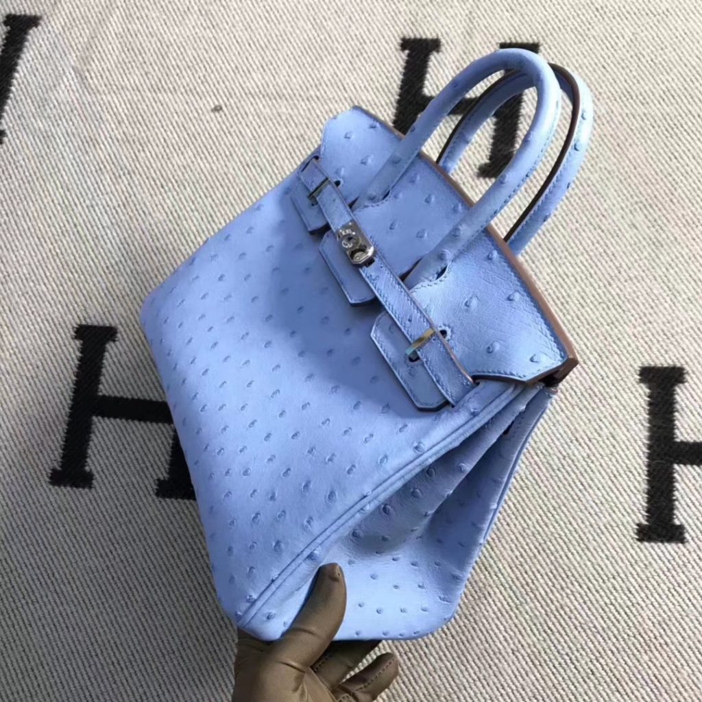 New Arrival Hermes Pinkish Blue Ostrich Leather Birkin25CM Tote Bag Silver Hardware