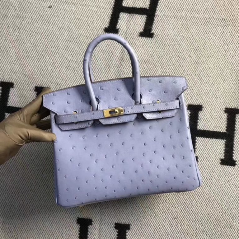Hermes Ostrich Leather Birkin Bag 25CM in Grey Blue Gold Hardware