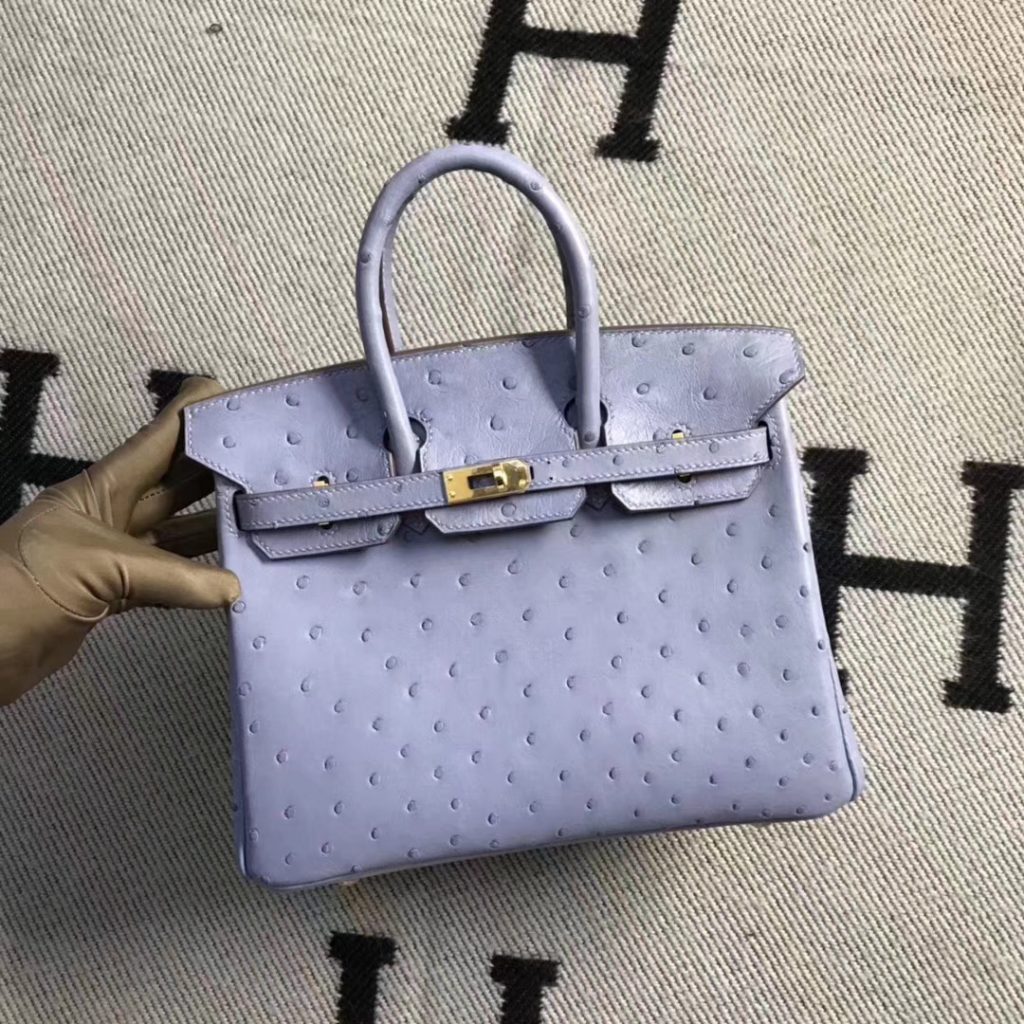 Discount Hermes Ostrich Leather Birkin Bag25CM in Grey Blue Gold Hardware