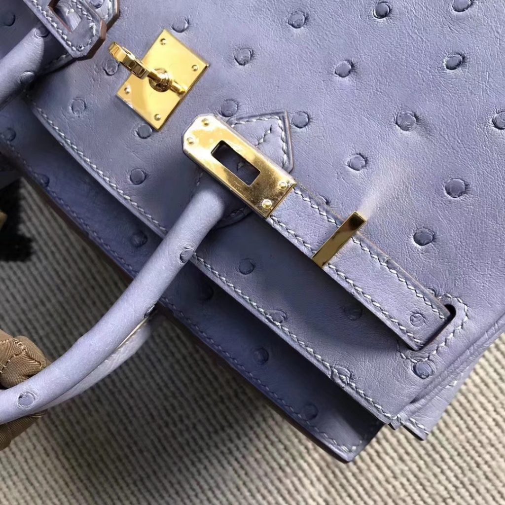 Discount Hermes Ostrich Leather Birkin Bag25CM in Grey Blue Gold Hardware