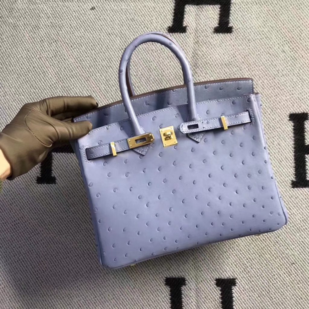 Discount Hermes Ostrich Leather Birkin Bag25CM in Grey Blue Gold Hardware