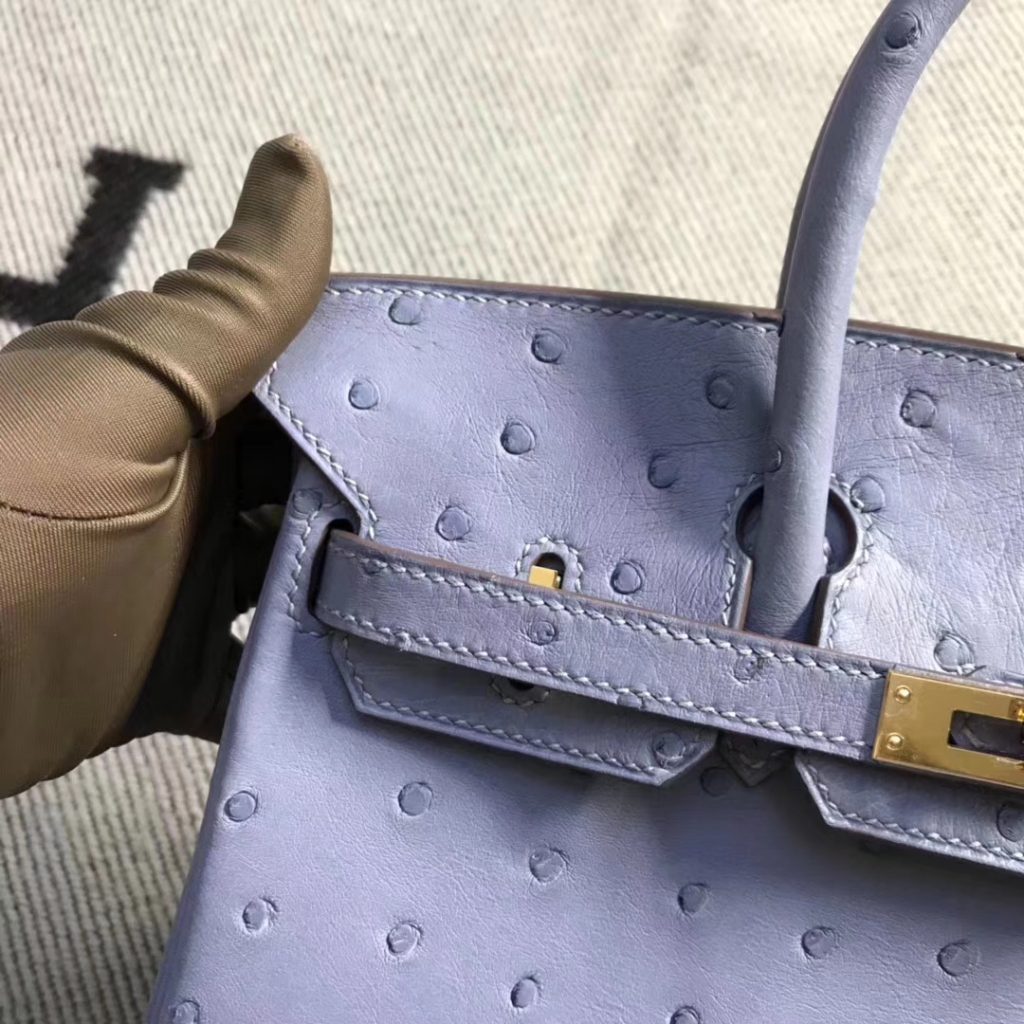 Discount Hermes Ostrich Leather Birkin Bag25CM in Grey Blue Gold Hardware