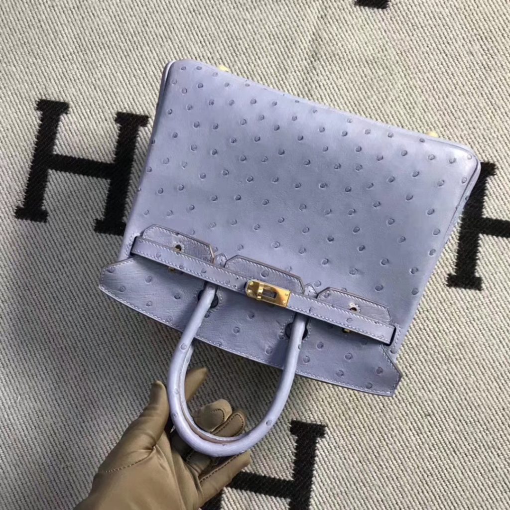 Discount Hermes Ostrich Leather Birkin Bag25CM in Grey Blue Gold Hardware