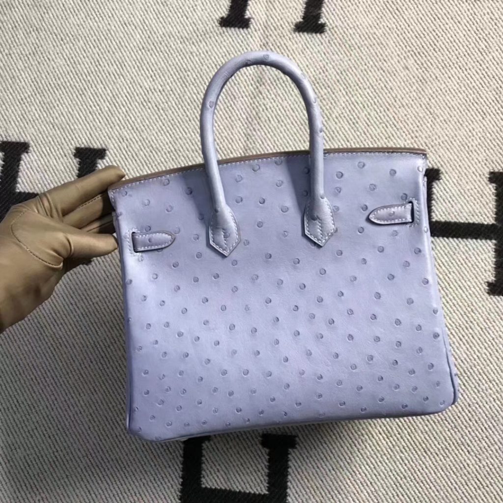 Discount Hermes Ostrich Leather Birkin Bag25CM in Grey Blue Gold Hardware