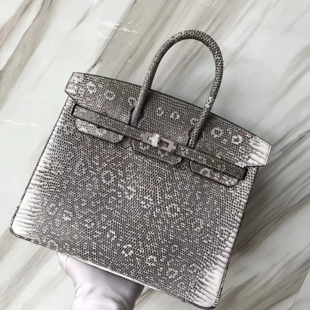 Elegant Hermes Lizard Birkin Bag25CM 01 Nature Color Women’s Tote Bag Silver Hardware