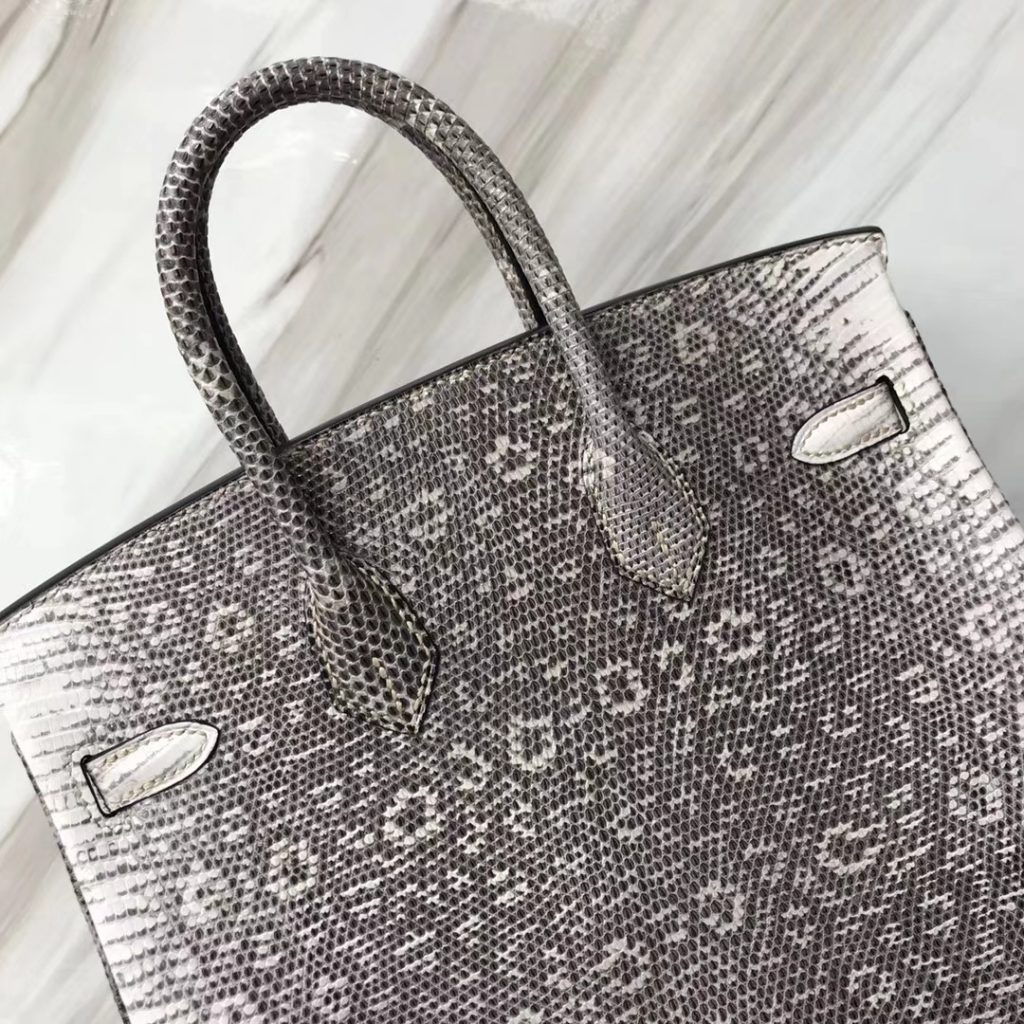 Elegant Hermes Lizard Birkin Bag25CM 01 Nature Color Women’s Tote Bag Silver Hardware
