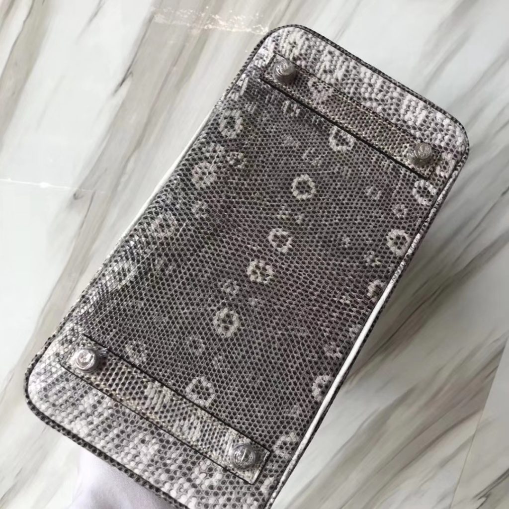 Elegant Hermes Lizard Birkin Bag25CM 01 Nature Color Women’s Tote Bag Silver Hardware