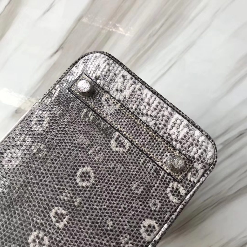 Elegant Hermes Lizard Birkin Bag25CM 01 Nature Color Women’s Tote Bag Silver Hardware