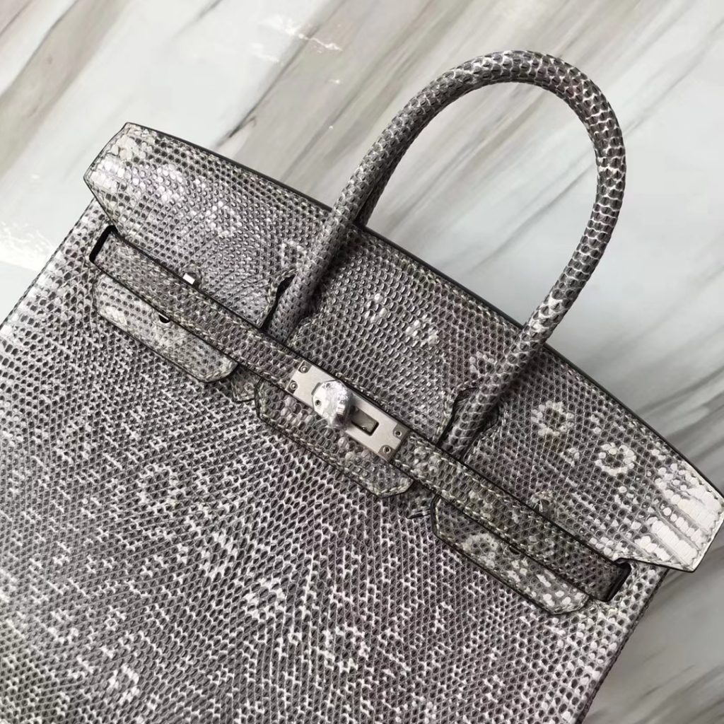 Elegant Hermes Lizard Birkin Bag25CM 01 Nature Color Women’s Tote Bag Silver Hardware