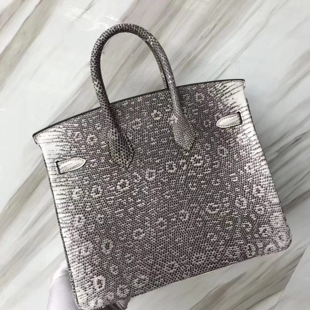 Elegant Hermes Lizard Birkin Bag25CM 01 Nature Color Women’s Tote Bag Silver Hardware