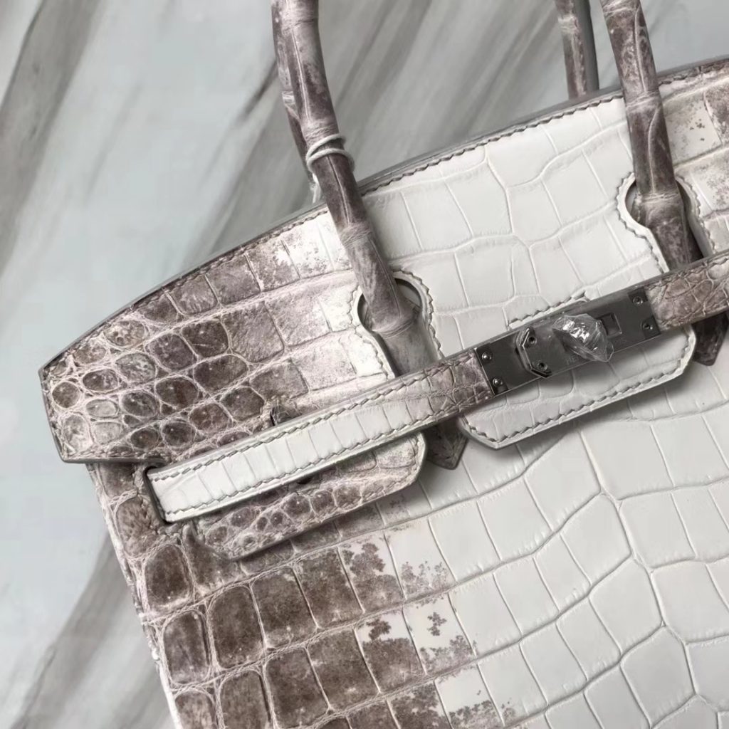 Hand Stitching Hermes Crocodile Birkin Bag25CM in Himalaya Color Silver Hardware