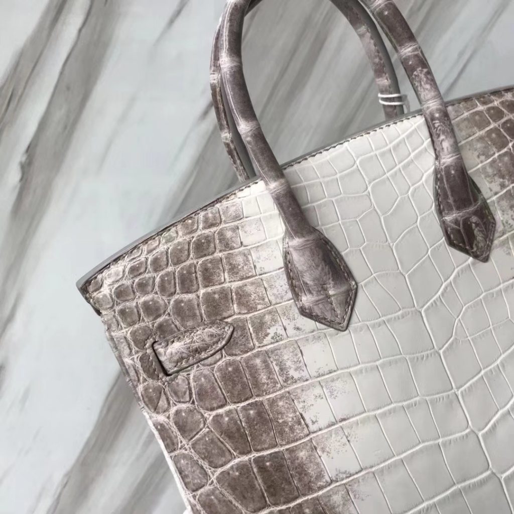 Hand Stitching Hermes Crocodile Birkin Bag25CM in Himalaya Color Silver Hardware