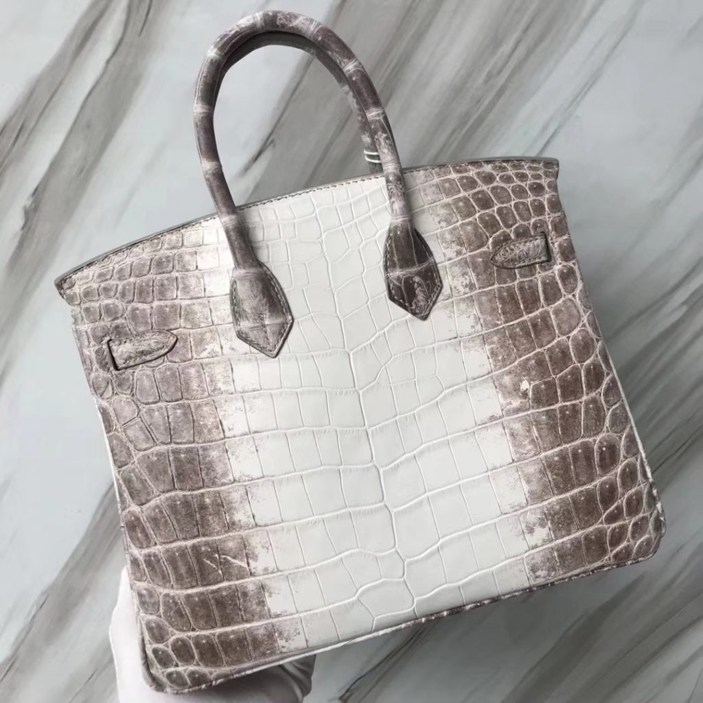 Hand Stitching Hermes Crocodile Birkin Bag25CM in Himalaya Color Silver Hardware