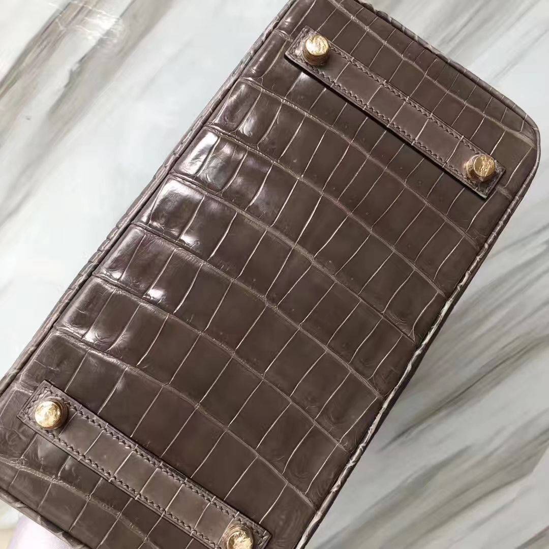 Stock Luxury Hermes CK81 Gris Tourterelle Shiny Nilo Crocodile Birkin25CM Bag Gold Hardware