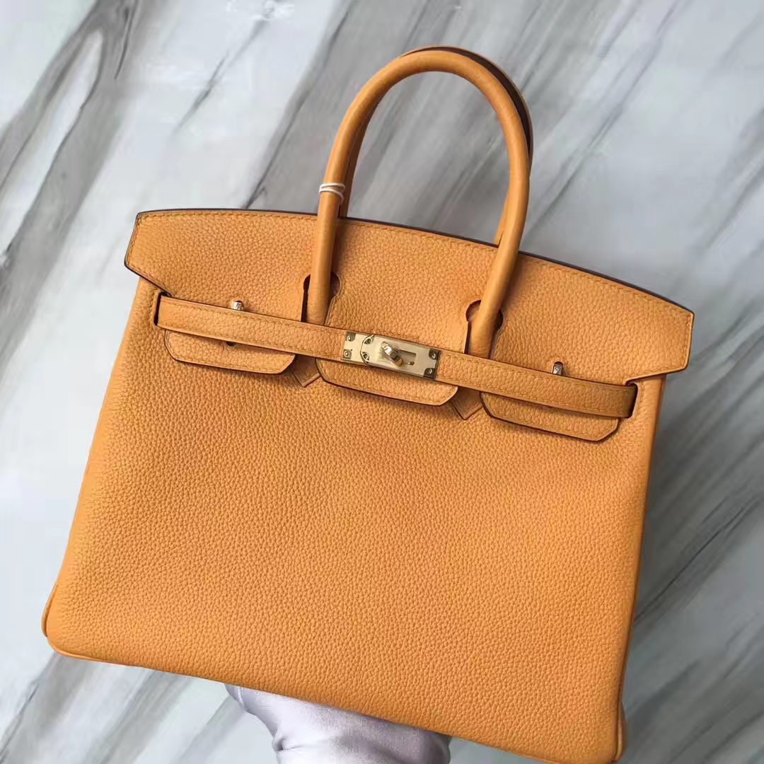 Stock Hermes I9 Apricot Togo Calf Birkin25CM Tote Bag Gold Hardware