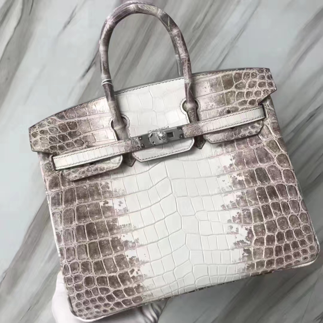 Stock Noble Hermes Himalaya Crocodile Leather Birkin Bag25CM Silver Hardware