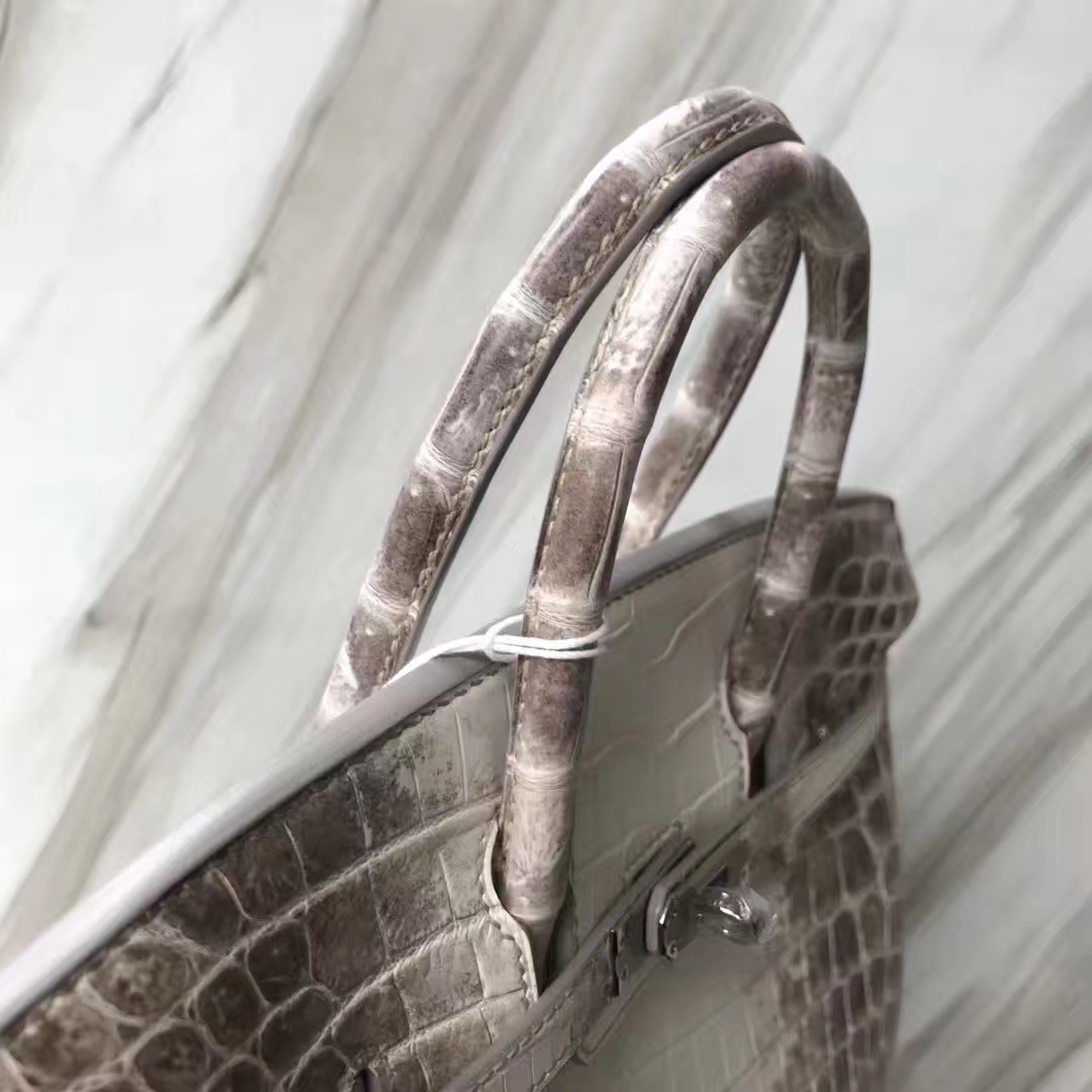 Stock Noble Hermes Himalaya Crocodile Leather Birkin Bag25CM Silver Hardware