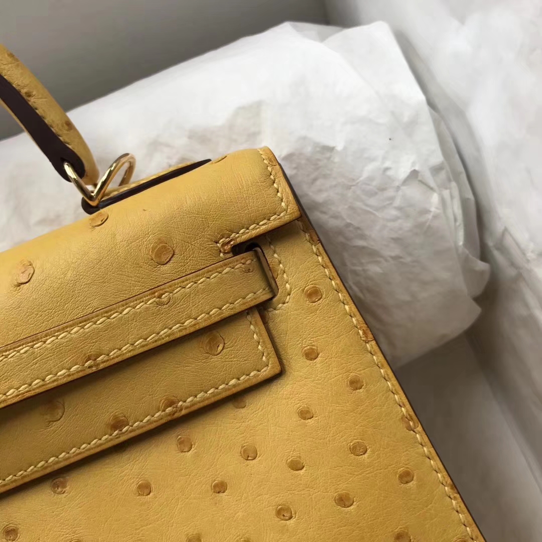 Fashion Hermes Ostrich Leather Kelly Bag25CM in 9D Ambre Yellow Gold Hardware