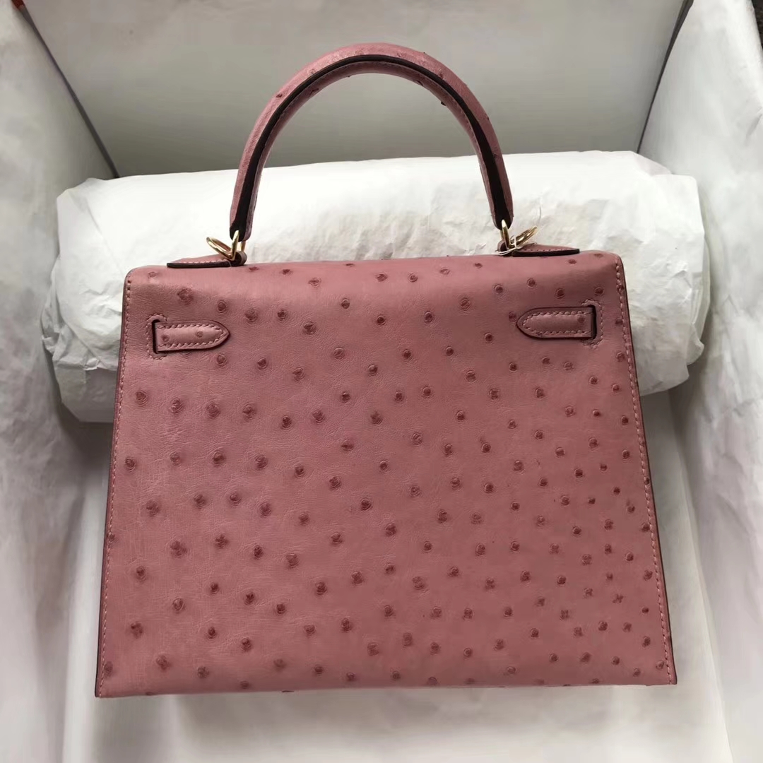 Pretty Hermes CC94 Terre Cuite Ostrich Leather Kelly25cm Bag Gold Hardware