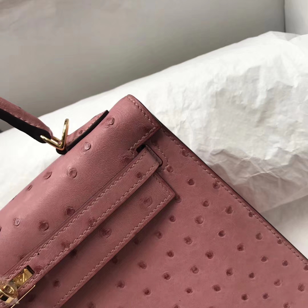 Pretty Hermes CC94 Terre Cuite Ostrich Leather Kelly25cm Bag Gold Hardware