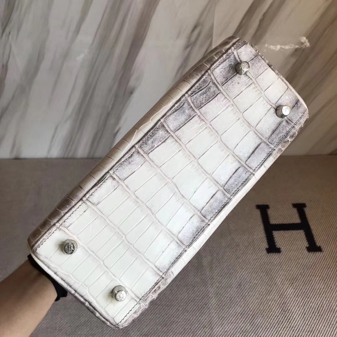 Elegant Hermes Himalaya Color Crocodile Leather Kelly25CM Bag Silver Hardware