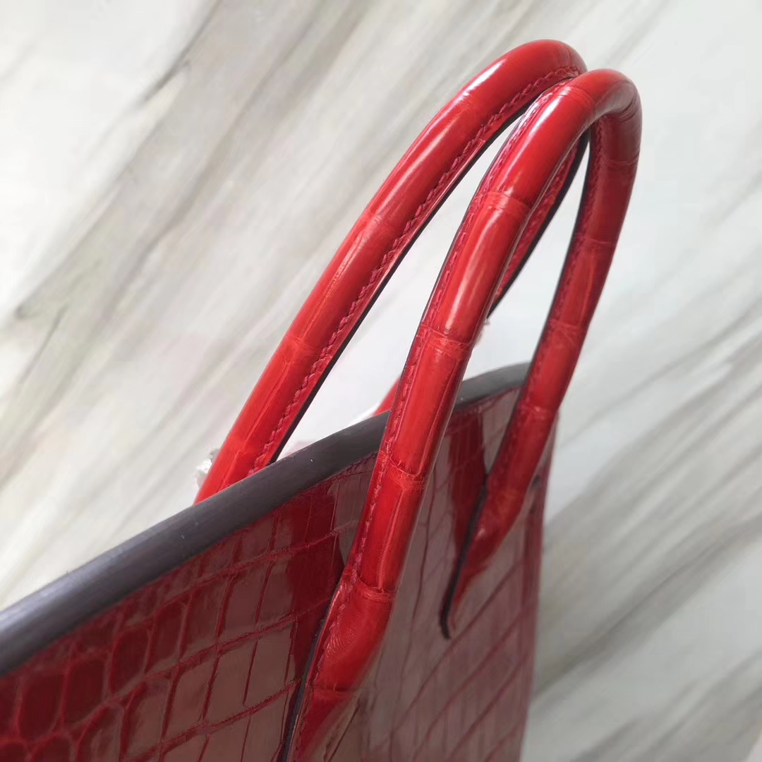 Stock Luxury Hermes Shiny Crocodile Birkin Bag25CM in CK95 Braise Silver Hardware