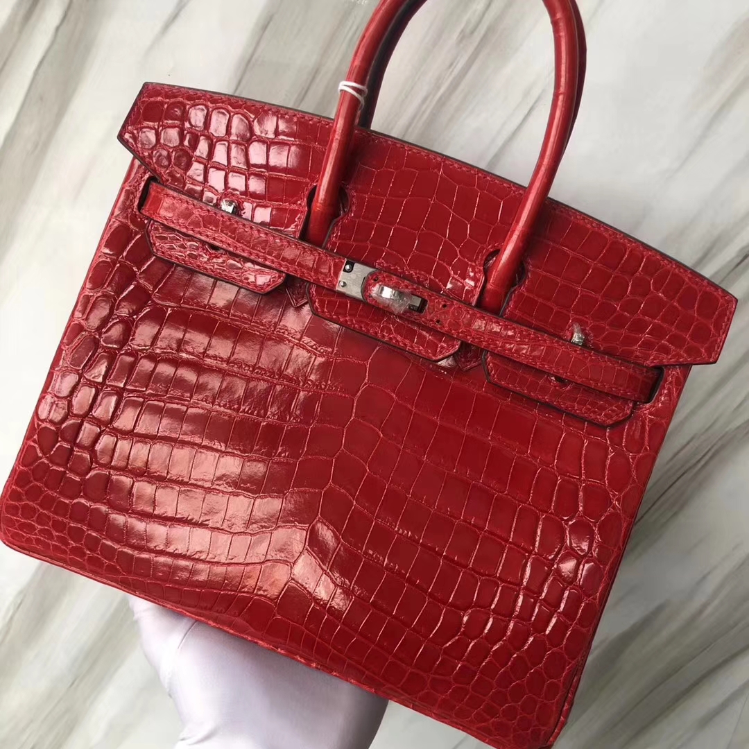Stock Luxury Hermes Shiny Crocodile Birkin Bag25CM in CK95 Braise Silver Hardware
