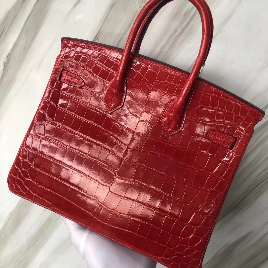 Stock Luxury Hermes Shiny Crocodile Birkin Bag25CM in CK95 Braise Silver Hardware