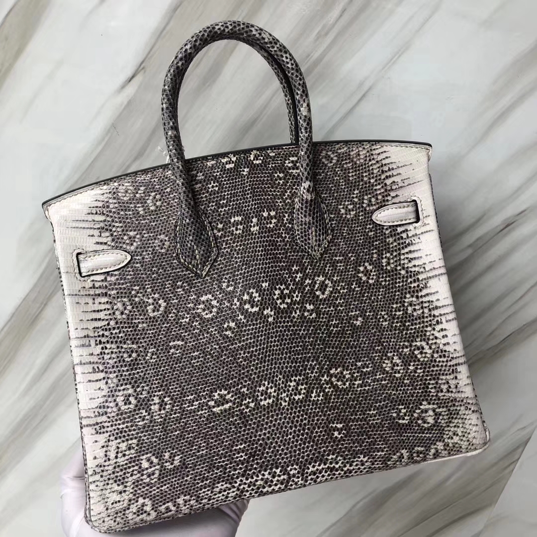 Stock Hermes 01 Original Color Lizard Leather Birkin Bag25CM Silver Hardware