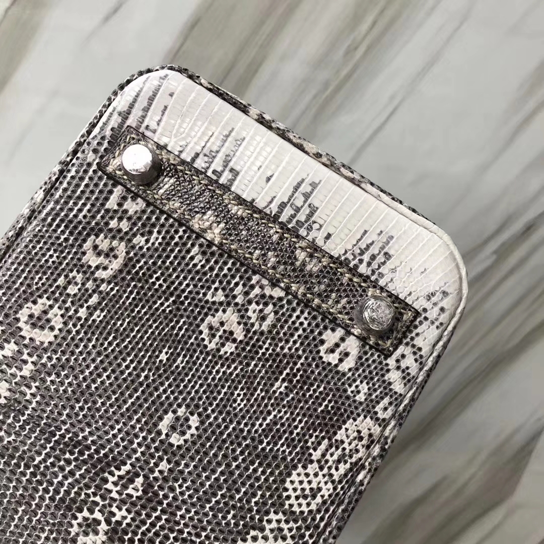 Stock Hermes Lizard Birkin25CM Tote Bag 01 Original Color Silver Hardware