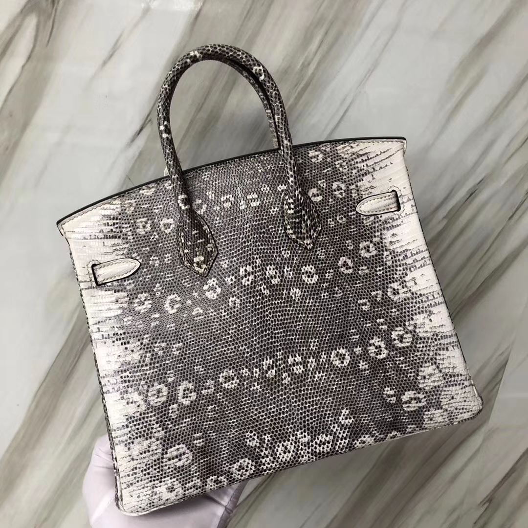 Stock Hermes Lizard Birkin25CM Tote Bag 01 Original Color Silver Hardware